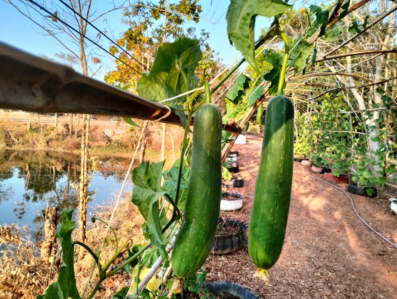 catalogs_file_44_28_52_952460.webp
