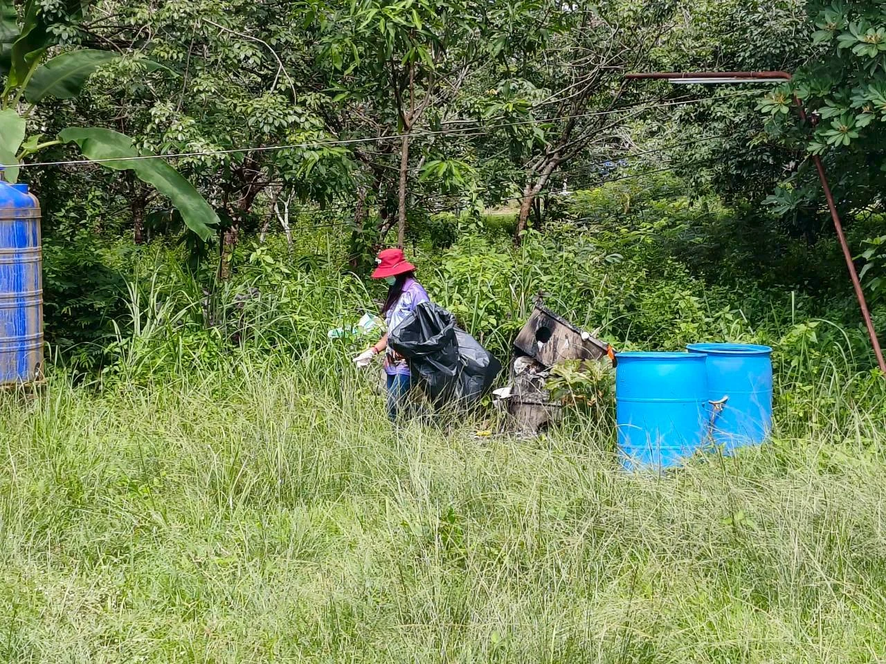 catalogs_file_78_51_51_645143.webp