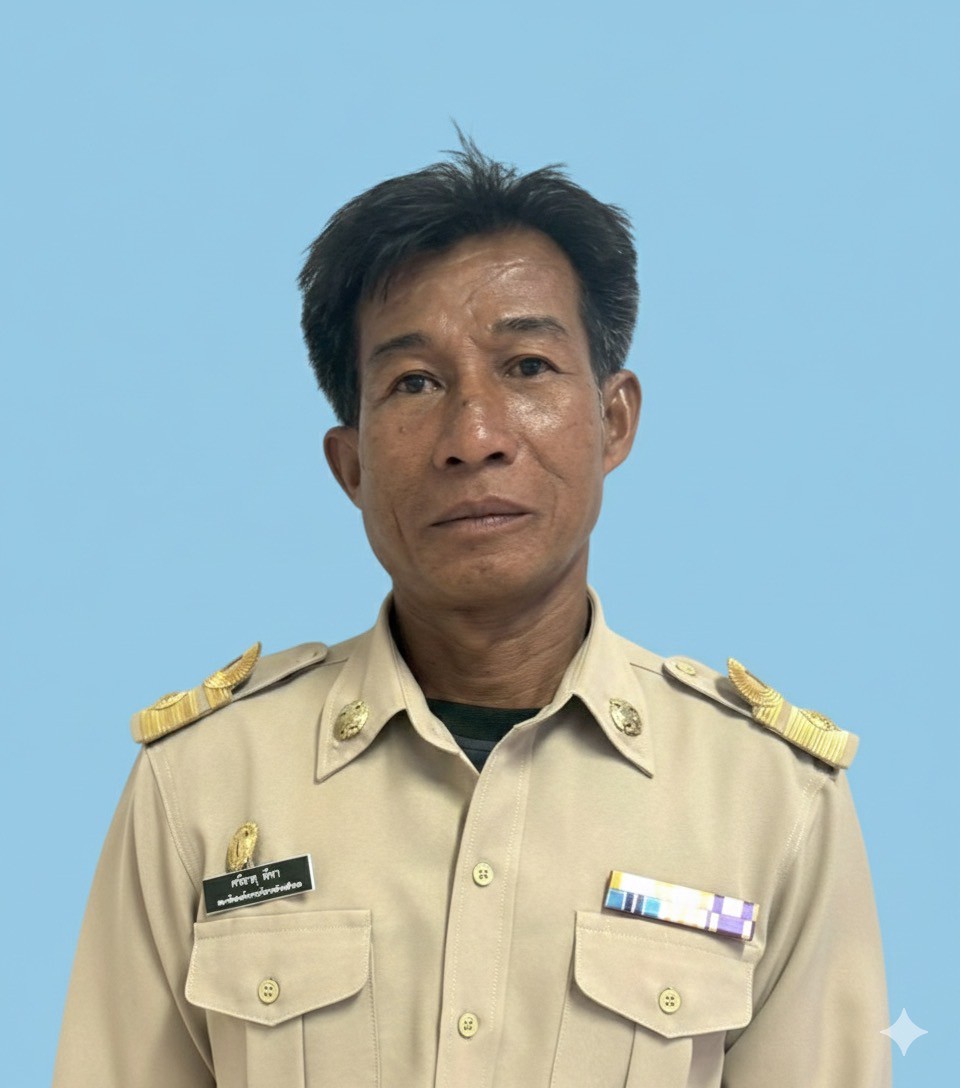 ไม่พบรูป